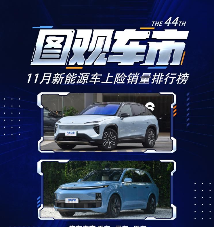  特斯拉,Model Y,理想汽车,理想L8,MINI,MINI,比亚迪,宋PLUS新能源,五菱汽车,宏光MINIEV,AITO,问界M7