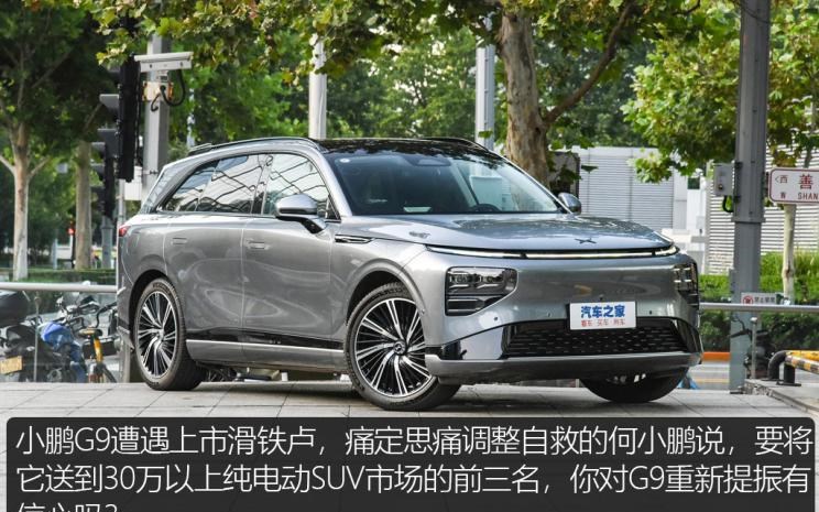  特斯拉,Model Y,理想汽车,理想L8,MINI,MINI,比亚迪,宋PLUS新能源,五菱汽车,宏光MINIEV,AITO,问界M7