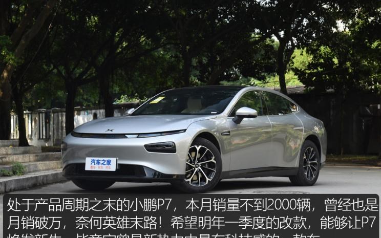  特斯拉,Model Y,理想汽车,理想L8,MINI,MINI,比亚迪,宋PLUS新能源,五菱汽车,宏光MINIEV,AITO,问界M7