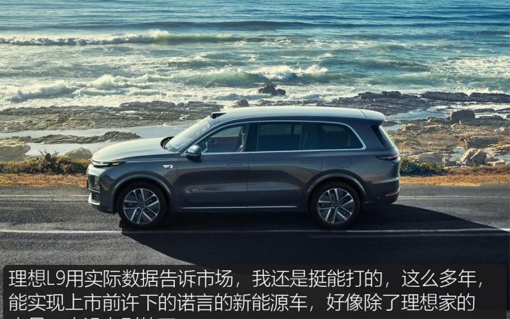  特斯拉,Model Y,理想汽车,理想L8,MINI,MINI,比亚迪,宋PLUS新能源,五菱汽车,宏光MINIEV,AITO,问界M7