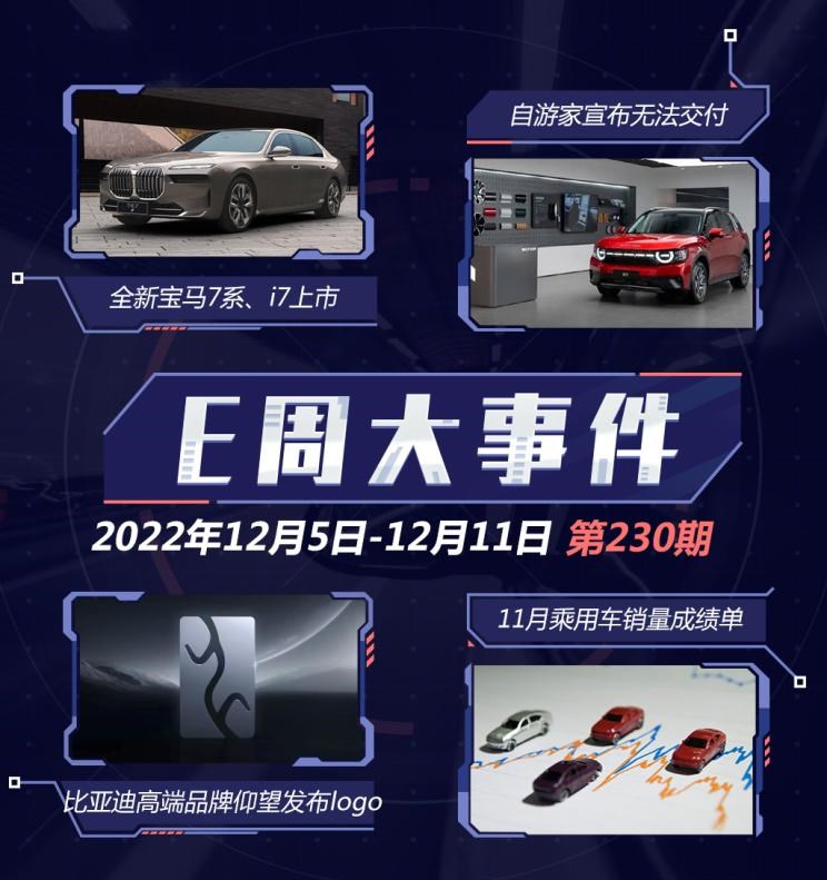  特斯拉,Model Y,Model 3,劳斯莱斯,闪灵,MINI,MINI,路虎,揽胜,宝马,宝马7系,宝马iX3,奔驰,奔驰G级,宝马i3,比亚迪,护卫舰07