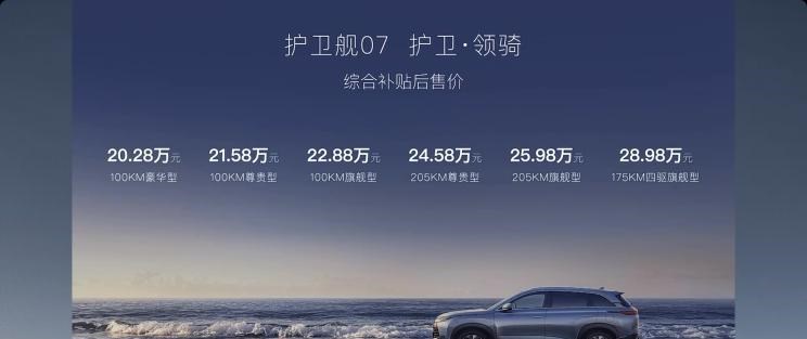  比亚迪,海豹,特斯拉,Model Y,唐新能源,护卫舰07,汉