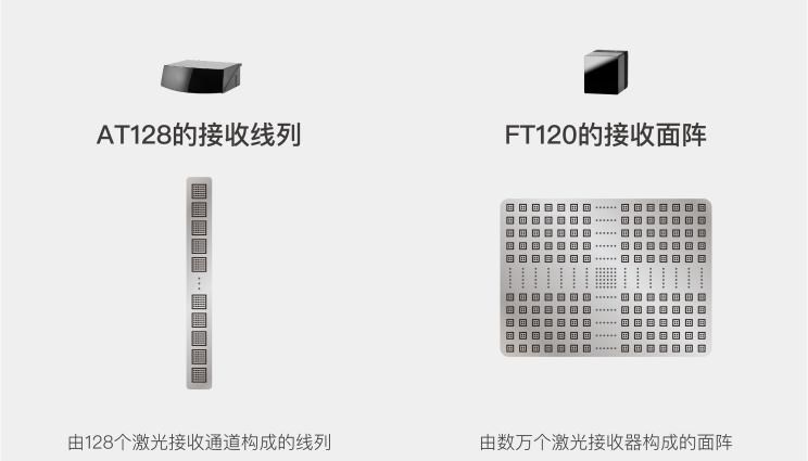  成功汽车,斑马