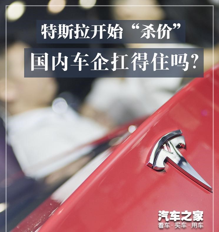  特斯拉,Model Y,Model 3,理想汽车,理想L8,理想ONE,Polestar极星,Polestar 2,蔚来,蔚来ES6,比亚迪,汉,威马汽车,威马W6