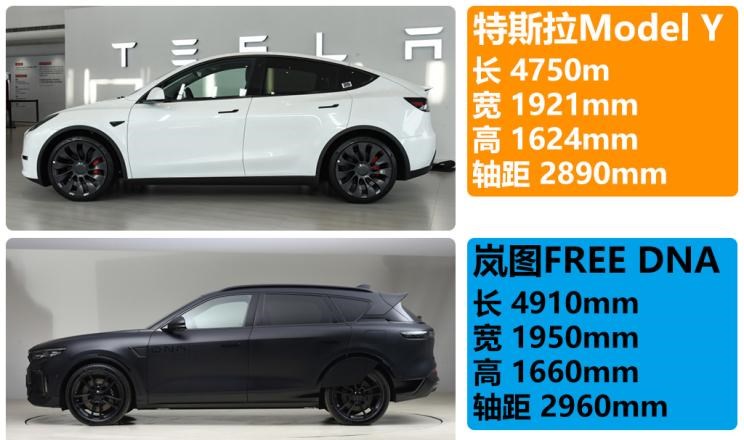  特斯拉,Model Y,Model 3,长城,炮