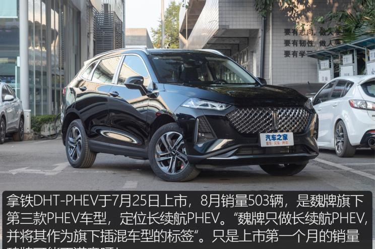  特斯拉,Model X,Model S,Model 3,Model Y,大众,途岳,途观L,宝来,迈腾,帕萨特,速腾,途铠,探歌,途锐,探影,Polo,探岳,高尔夫,一汽-大众CC,途昂,揽巡,桑塔纳,凌渡,揽境,朗逸,比亚迪,比亚迪V3,比亚迪e6,比亚迪e3,比亚迪D1,元新能源,比亚迪e9,宋MAX新能源,元Pro,比亚迪e2,驱逐舰05,海鸥,护卫舰07,海豹,元PLUS,海豚,唐新能源,宋Pro新能源,汉,宋PLUS新能源,秦PLUS新能源,埃安,AION Y, AION Hyper SSR, AION Hyper GT,AION V,AION LX,AION S,蔚来,蔚来ES5,蔚来EC7,蔚来ES7,蔚来ET7,蔚来EC6,蔚来ES8,蔚来ES6,蔚来ET5,AITO,问界M5,问界M7,丰田,卡罗拉锐放,威兰达,锋兰达,RAV4荣放,汉兰达,卡罗拉,凯美瑞,亚洲狮,一汽丰田bZ3,红杉,丰田C-HR,皇冠,埃尔法,广汽丰田bZ4X,YARiS L 致炫,赛那,皇冠陆放,雷凌,威驰,亚洲龙,小鹏,小鹏P5,小鹏G3,小鹏G9,小鹏P7