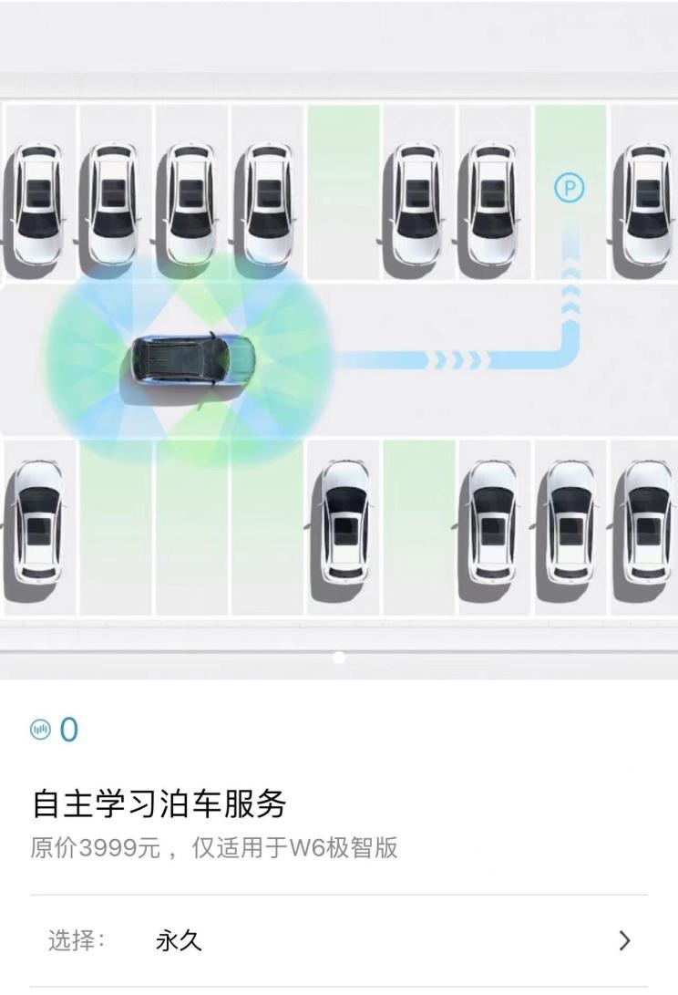  特斯拉,Model 3,Model S,路虎,发现,极氪,ZEEKR 001,威马汽车,威马W6