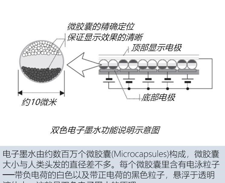  宝马,宝马5系,宝马6系GT,宝马X3(进口),宝马iX3,宝马X4,宝马Z4,宝马5系 插电混动,宝马X2,宝马X6,宝马X7,宝马i3,宝马4系,宝马5系(进口),宝马2系,宝马1系,宝马7系,宝马X3,宝马X5,宝马X1,宝马3系