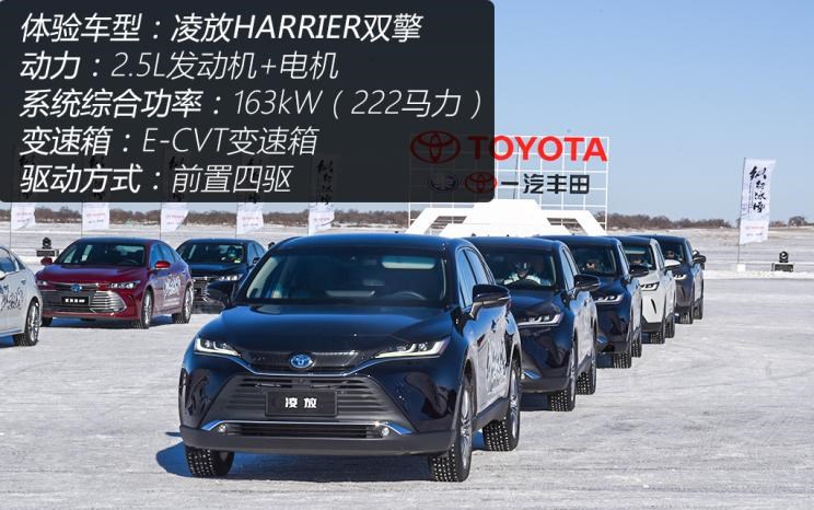  丰田,皇冠,亚洲龙,皇冠陆放,RAV4荣放,亚洲狮