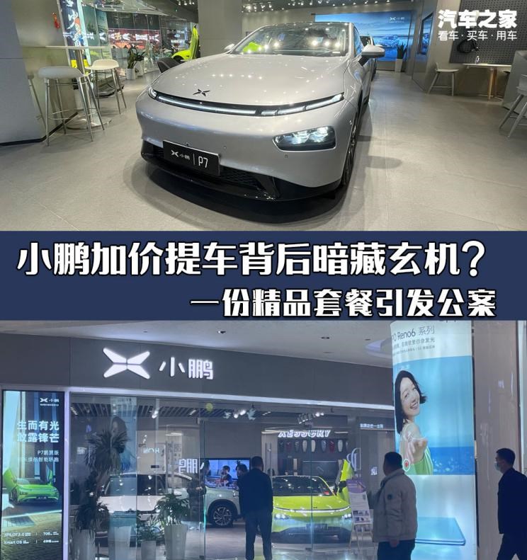  特斯拉,Model Y,路虎,发现,小鹏,小鹏P7