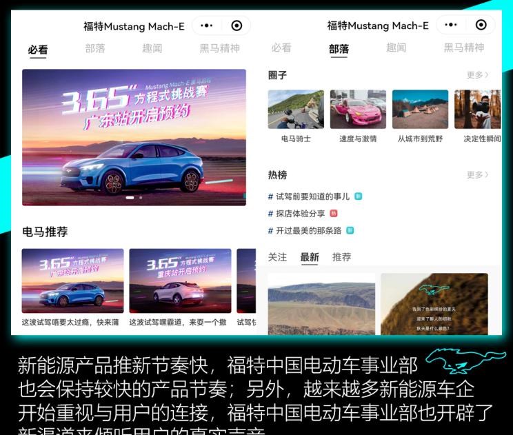  特斯拉,Model Y,福特,Mustang