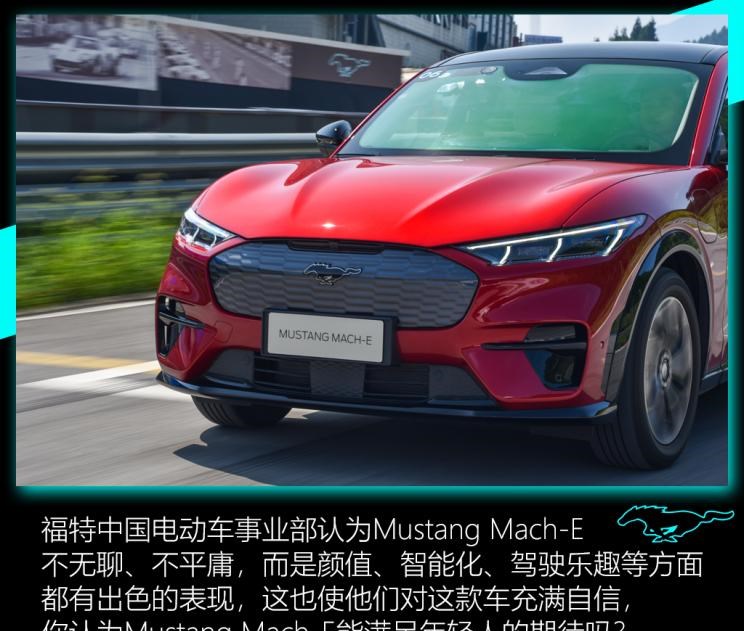  特斯拉,Model Y,福特,Mustang