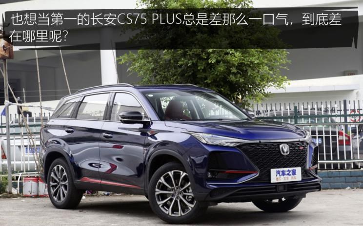  特斯拉,Model Y,理想汽车,理想ONE