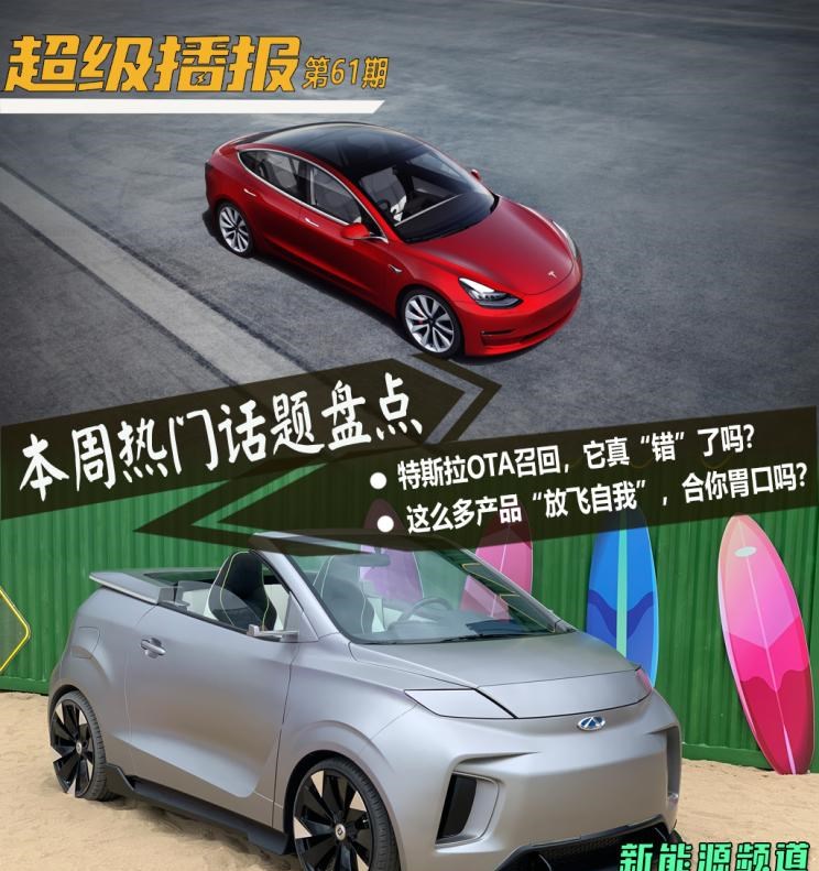  特斯拉,Model Y,Model 3,MINI,MINI,奇瑞新能源,QQ冰淇淋,比亚迪,海豚,五菱汽车,宏光MINIEV,小蚂蚁