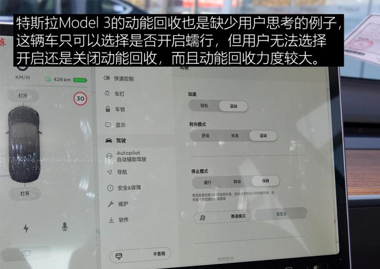  特斯拉,Model Y,Model 3,MINI,MINI,奇瑞新能源,QQ冰淇淋,比亚迪,海豚,五菱汽车,宏光MINIEV,小蚂蚁