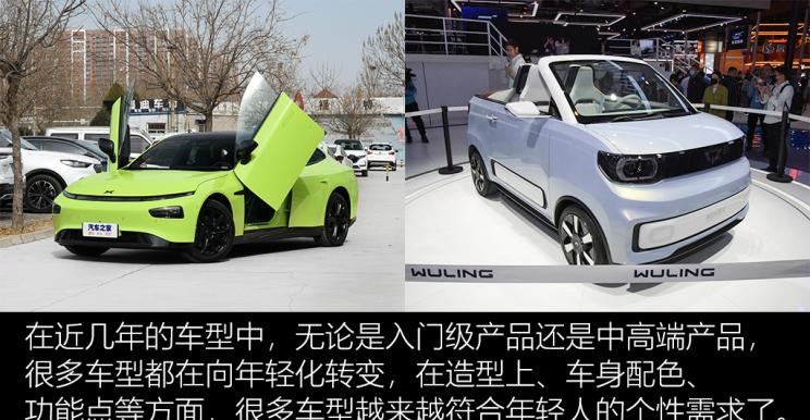  特斯拉,Model Y,Model 3,MINI,MINI,奇瑞新能源,QQ冰淇淋,比亚迪,海豚,五菱汽车,宏光MINIEV,小蚂蚁