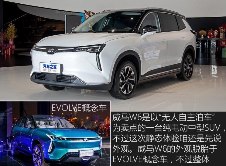  威马汽车,威马EX5,爱驰,爱驰U5,威马W6