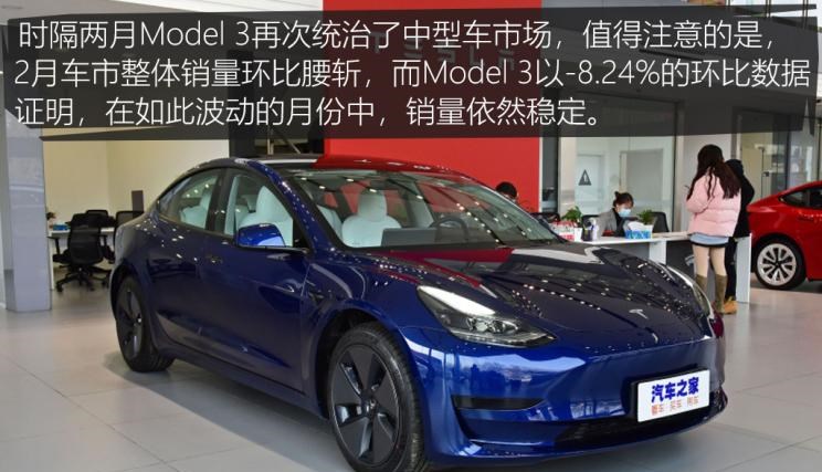  特斯拉,Model Y,Model 3,MINI,MINI,大众,途观L,长安,长安CS75,别克,别克GL8,五菱汽车,宏光MINIEV,哈弗,哈弗H6,途昂