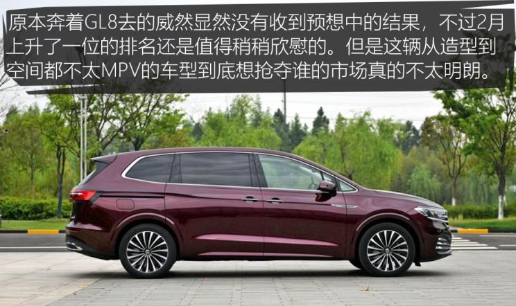  特斯拉,Model Y,Model 3,MINI,MINI,大众,途观L,长安,长安CS75,别克,别克GL8,五菱汽车,宏光MINIEV,哈弗,哈弗H6,途昂