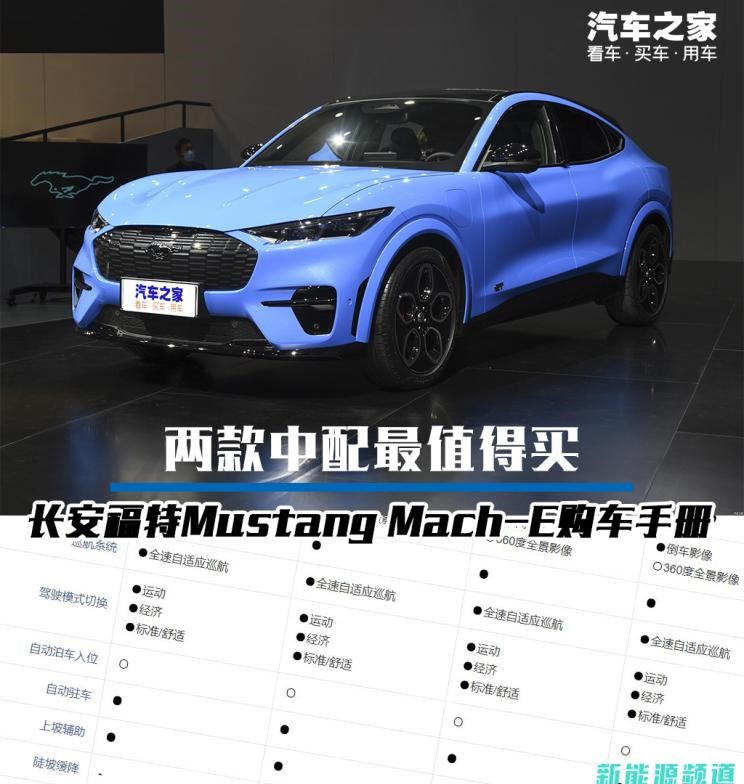  特斯拉,Model Y,福特,Mustang