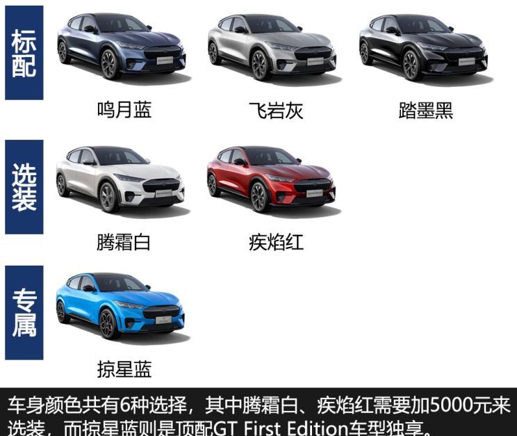  特斯拉,Model Y,福特,Mustang