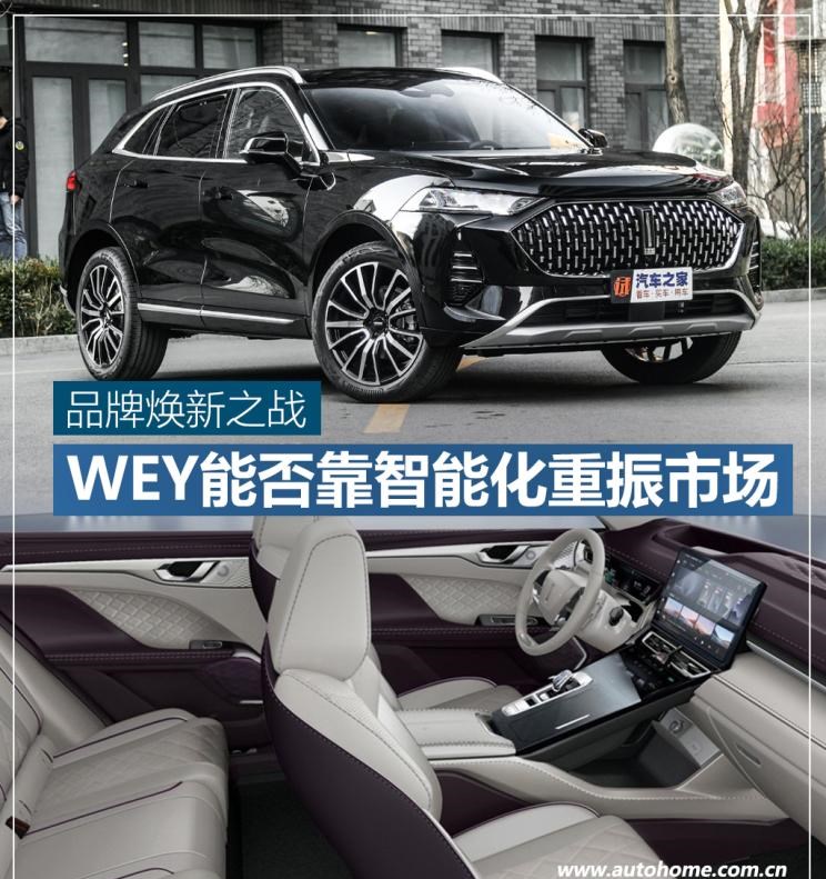  特斯拉,Model Y,理想汽车,理想ONE,魏牌,摩卡,红旗,红旗HS5,路虎,发现,坦克,坦克300,蔚来,蔚来ES6