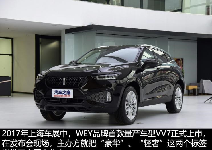  特斯拉,Model Y,理想汽车,理想ONE,魏牌,摩卡,红旗,红旗HS5,路虎,发现,坦克,坦克300,蔚来,蔚来ES6