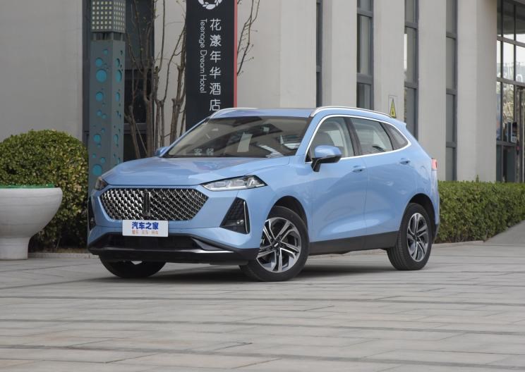  特斯拉,Model Y,理想汽车,理想ONE,魏牌,摩卡,红旗,红旗HS5,路虎,发现,坦克,坦克300,蔚来,蔚来ES6