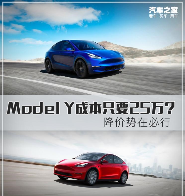  特斯拉,Model Y,Model 3,Model S,SWM斯威汽车,钢铁侠,丰田,凯美瑞