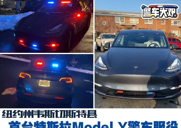  特斯拉,Model Y,Model X,Model S,长城,炮