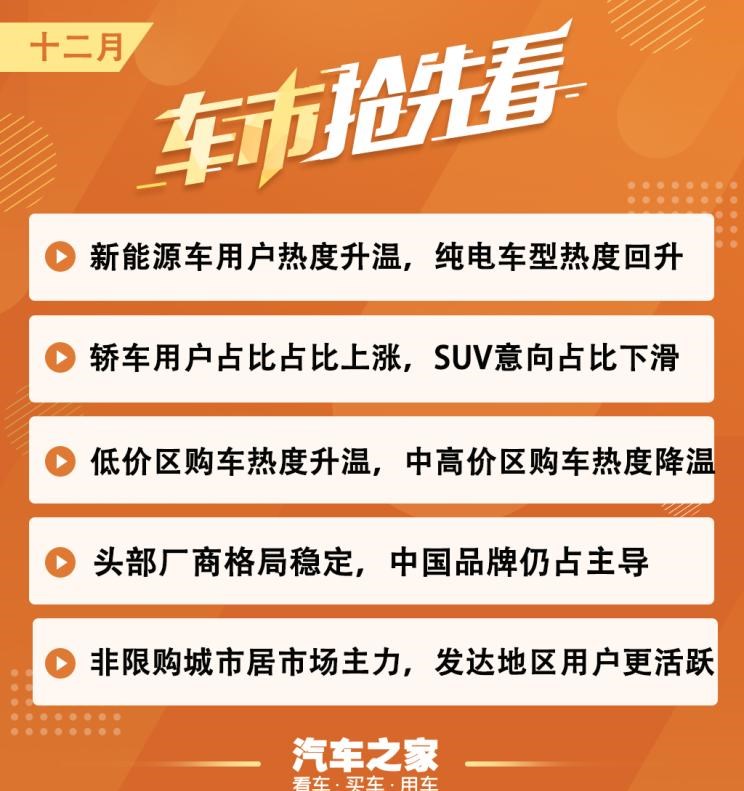  特斯拉,Model Y,路虎,发现