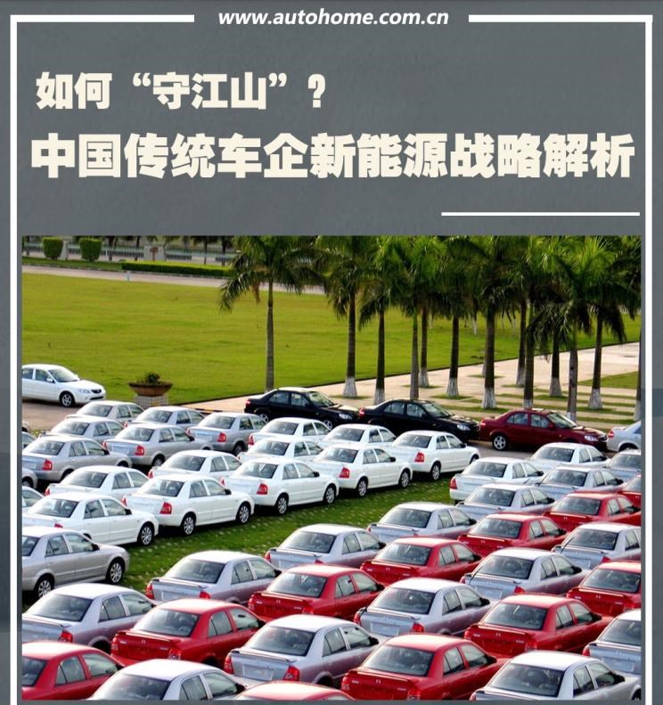  特斯拉,Model Y,Model 3,大众,宝来,路虎,发现,高尔夫,比亚迪,比亚迪e6,蔚来,蔚来ES8,几何汽车,几何A,长安,逸动