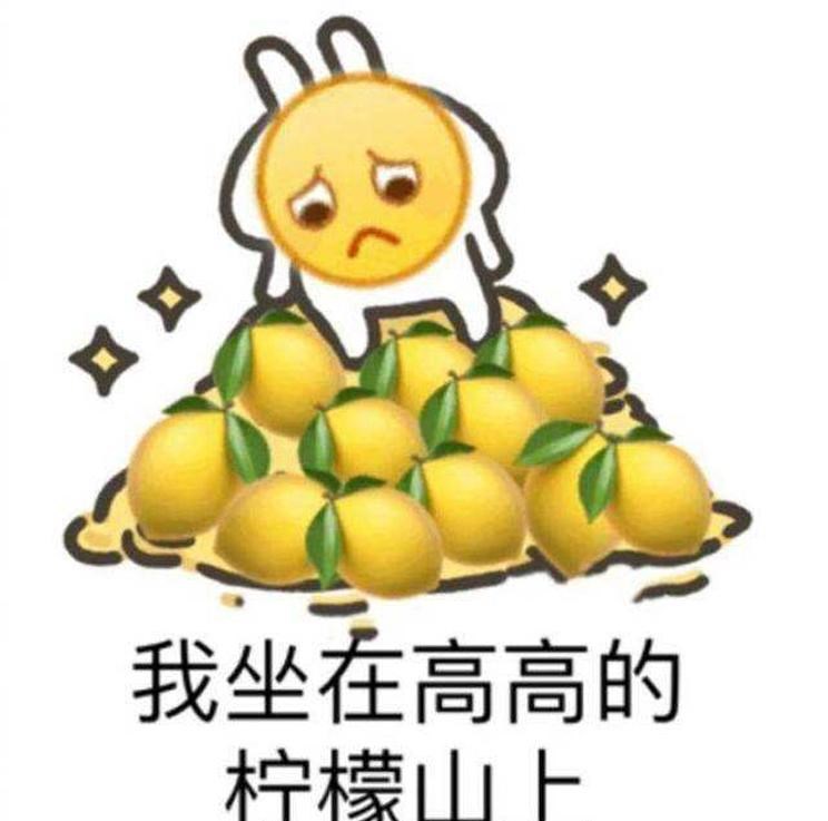  奔驰,奔驰C级,奔驰E级 插电混动,迈巴赫GLS,威霆,奔驰V级,奔驰G级 AMG,奔驰GLC轿跑,奔驰CLA级,奔驰E级(进口),奔驰GLA,奔驰GLS,奔驰G级,奔驰C级(进口),奔驰GLE,奔驰GLB,奔驰A级,奔驰GLC,迈巴赫S级,奔驰S级,奔驰E级,福特,撼路者,Mustang,锐界,领裕,Bronco Sport,福特电马,新世代全顺,EVOS,Bronco,途睿欧,领界,全顺,福睿斯,福特F-150,锐际,领睿,锐界L,福克斯,探险者,蒙迪欧,奥迪,奥迪A6L,奥迪Q5L,奥迪A4L,奥迪A5,奥迪Q3,奥迪A6,奥迪A8,奥迪A3,奥迪Q6,奥迪A7L,奥迪Q7,奥迪Q3 Sportback,奥迪R8,奥迪S4,奥迪A4(进口),奥迪Q8,奥迪A6L 插电混动,奥迪RS 7,奥迪Q2L,奥迪A7,大众,途岳,途观L,宝来,迈腾,帕萨特,速腾,途铠,探歌,途锐,探影,Polo,探岳,高尔夫,一汽-大众CC,途昂,揽巡,桑塔纳,凌渡,揽境,朗逸,领克,领克02,领克05,领克01,领克09,领克06,领克09 PHEV,领克03,领克05 PHEV,领克01 PHEV,领克06 PHEV,领克02 Hatchback,宝马,宝马5系,宝马6系GT,宝马X3(进口),宝马iX3,宝马X4,宝马Z4,宝马5系 插电混动,宝马X2,宝马X6,宝马X7,宝马i3,宝马4系,宝马5系(进口),宝马2系,宝马1系,宝马7系,宝马X3,宝马X5,宝马X1,宝马3系,一汽,森雅R8,一汽蓝舰H6,森雅鸿雁,DS,DS 3 E-TENSE,DS 9 E-TENSE,DS 7,DS 9,现代,伊兰特,创虎,泓图,伊兰特(进口),盛图,IONIQ(艾尼氪)6,Nexo,MUFASA,名图 纯电动,现代ix25,悦纳,名图,帕里斯帝,索纳塔,库斯途,胜达,悦动,现代ix35,LAFESTA 菲斯塔,途胜,北京,北京BJ40,北京F40,北京BJ30,北京BJ90,北京BJ80,北京BJ60,沃尔沃,沃尔沃C40,沃尔沃S60 RECHARGE,沃尔沃XC40 RECHARGE,沃尔沃V90,沃尔沃XC90 RECHARGE,沃尔沃S90 RECHARGE,Concept Recharge,沃尔沃C40(进口),沃尔沃EX90,沃尔沃V60,沃尔沃XC60 RECHARGE,沃尔沃XC40,沃尔沃XC90,沃尔沃S60,沃尔沃S90,沃尔沃XC60,长安,奔奔E-Star, 长安CS75PLUS 智电iDD,悦翔,长安UNI-K 智电iDD,锐程CC,览拓者,锐程PLUS,长安UNI-V 智电iDD,长安Lumin,长安CS75,长安UNI-K,长安CS95,长安CS15,长安CS35PLUS,长安CS55PLUS,长安UNI-T,逸动,逸达,长安CS75PLUS,长安UNI-V