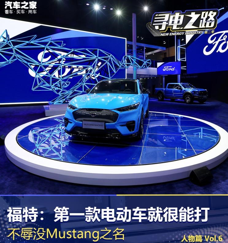  特斯拉,Model 3,福特,福特F-150,领界,蒙迪欧,Mustang,蔚来,蔚来ES6