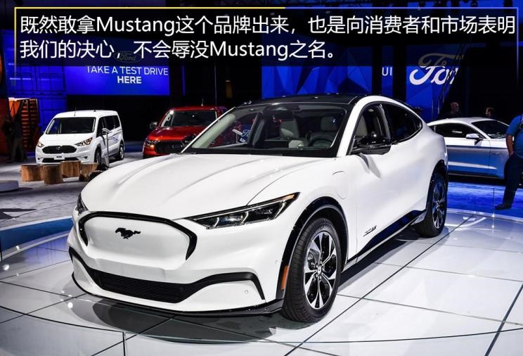  特斯拉,Model 3,福特,福特F-150,领界,蒙迪欧,Mustang,蔚来,蔚来ES6