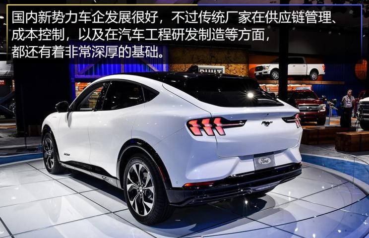  特斯拉,Model 3,福特,福特F-150,领界,蒙迪欧,Mustang,蔚来,蔚来ES6