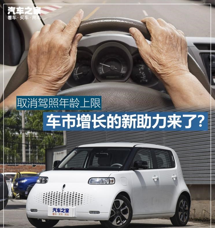  MINI,MINI,欧拉,欧拉白猫