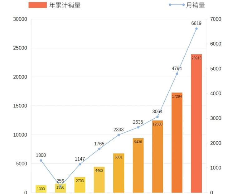  欧拉,欧拉黑猫,欧拉好猫,欧拉好猫GT