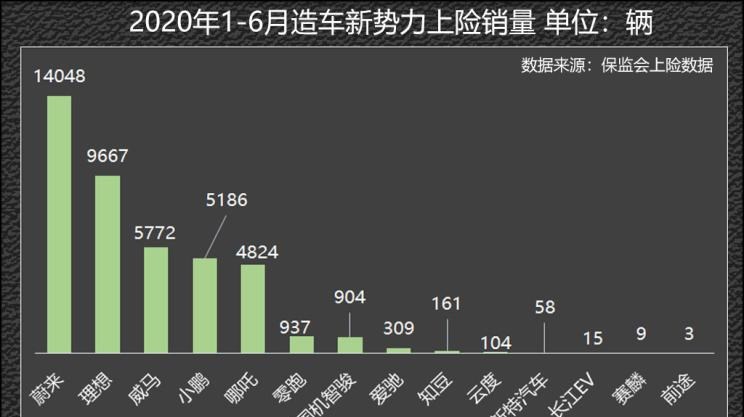  特斯拉,Model Y,Model 3,国机智骏,国机智骏GX5,天际汽车,天际ME7,蔚来,蔚来EC6